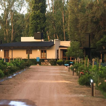 Algodon Wine Estates & Champions Club 호텔 산라파엘 외부 사진