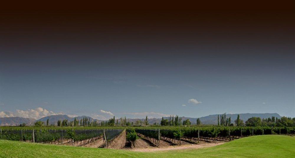 Algodon Wine Estates & Champions Club 호텔 산라파엘 외부 사진