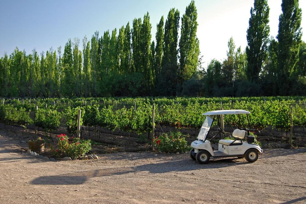 Algodon Wine Estates & Champions Club 호텔 산라파엘 외부 사진