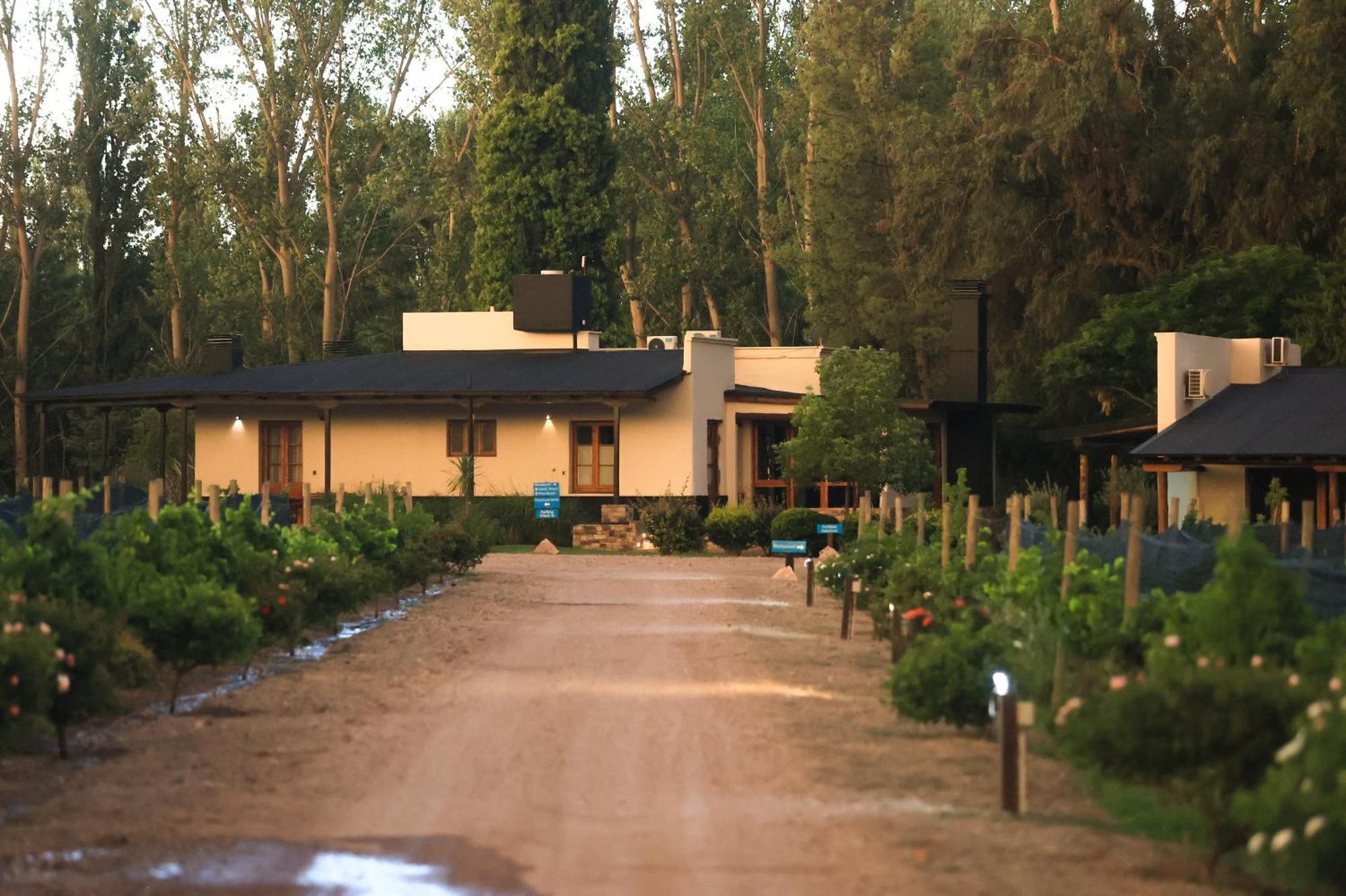 Algodon Wine Estates & Champions Club 호텔 산라파엘 외부 사진