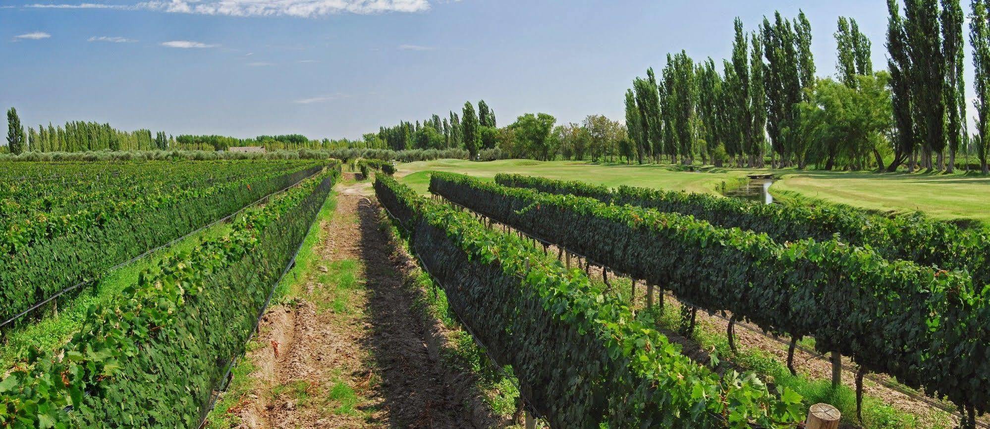 Algodon Wine Estates & Champions Club 호텔 산라파엘 외부 사진